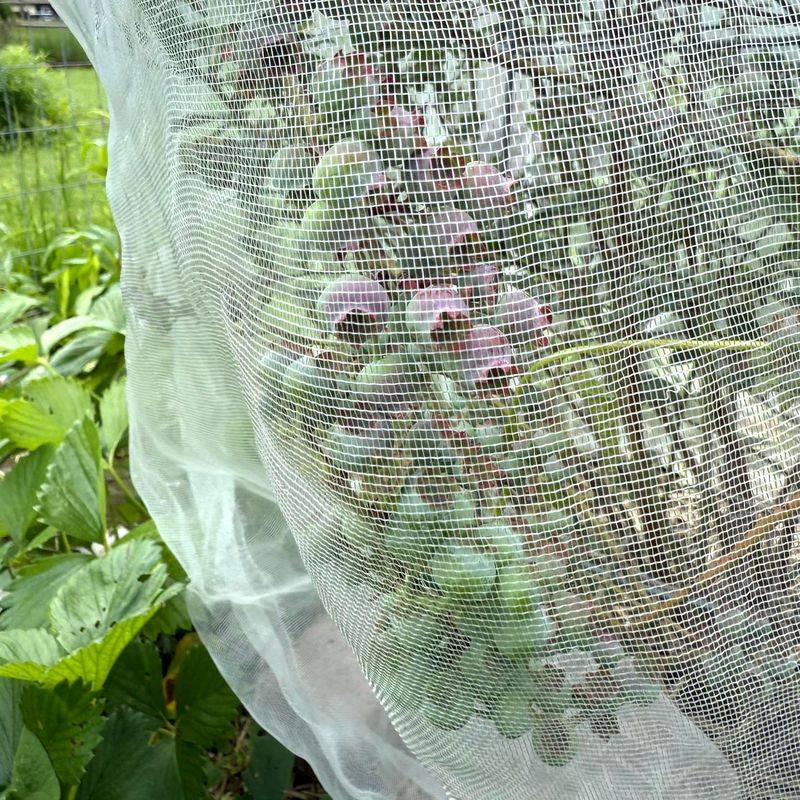 Create Compost Sifter Screens