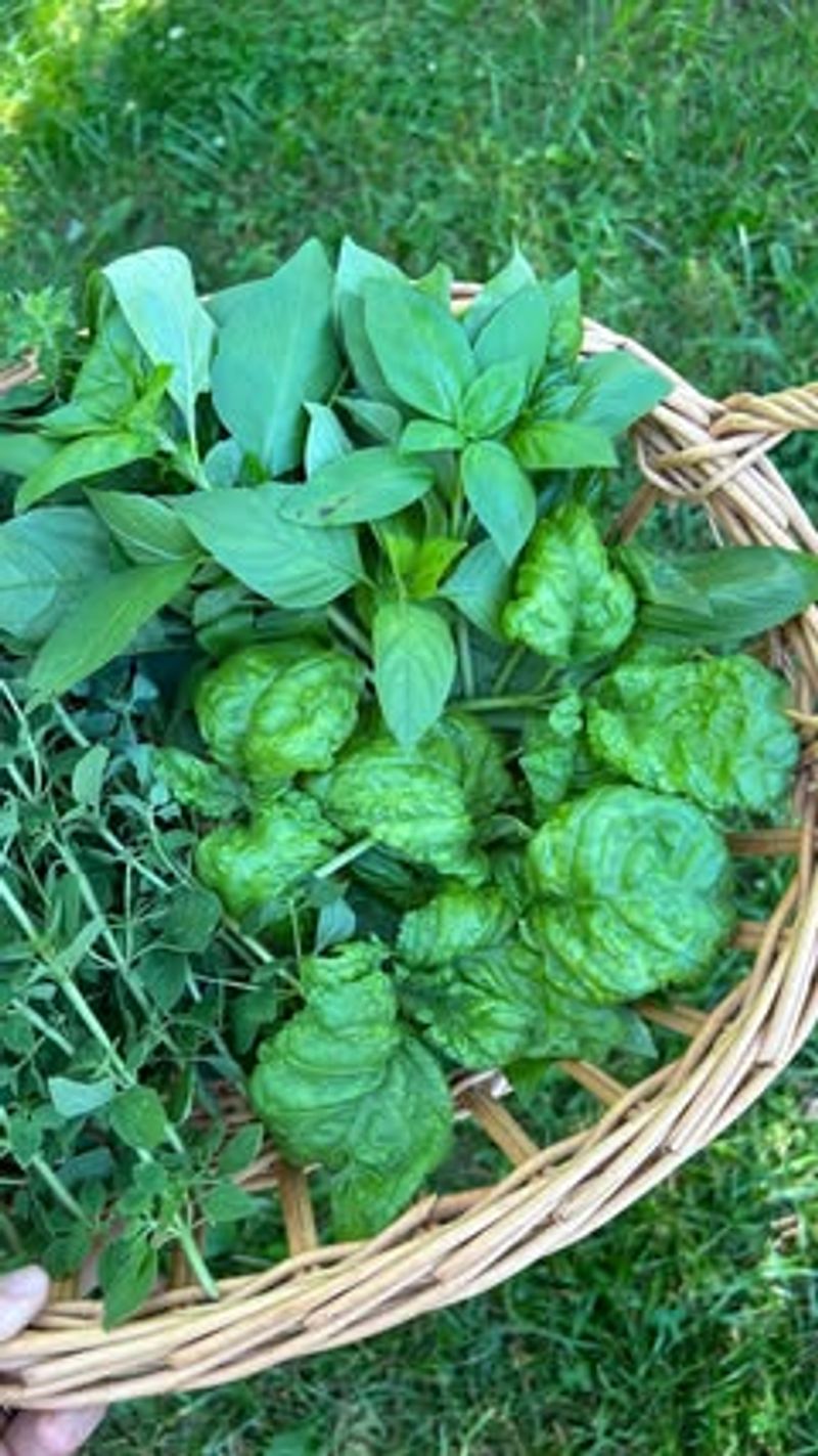 Harvest Properly