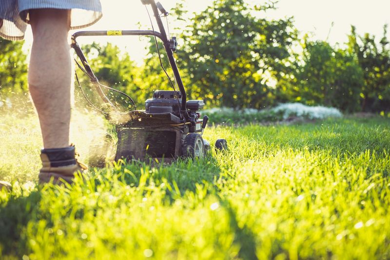 Boost Your Mowing Strategy