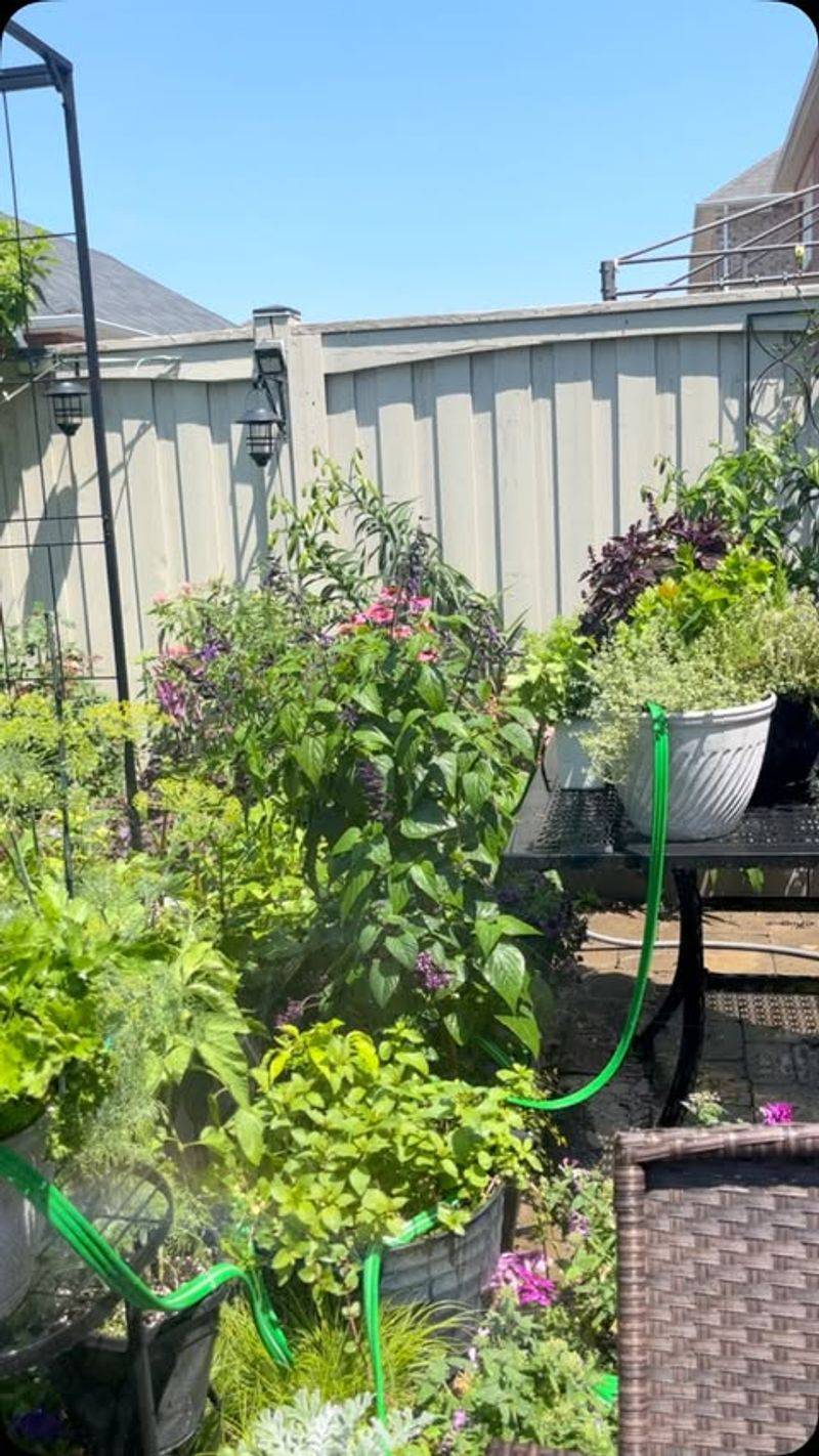 Develop A Water-Smart System