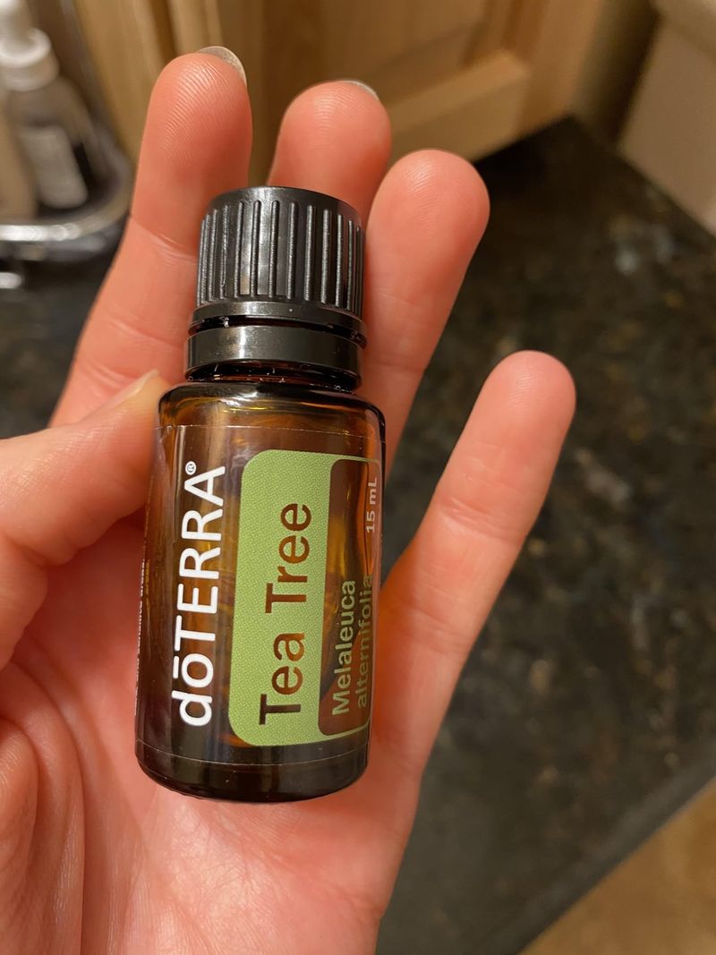 Tea Tree Oil Offers Powerful Protection