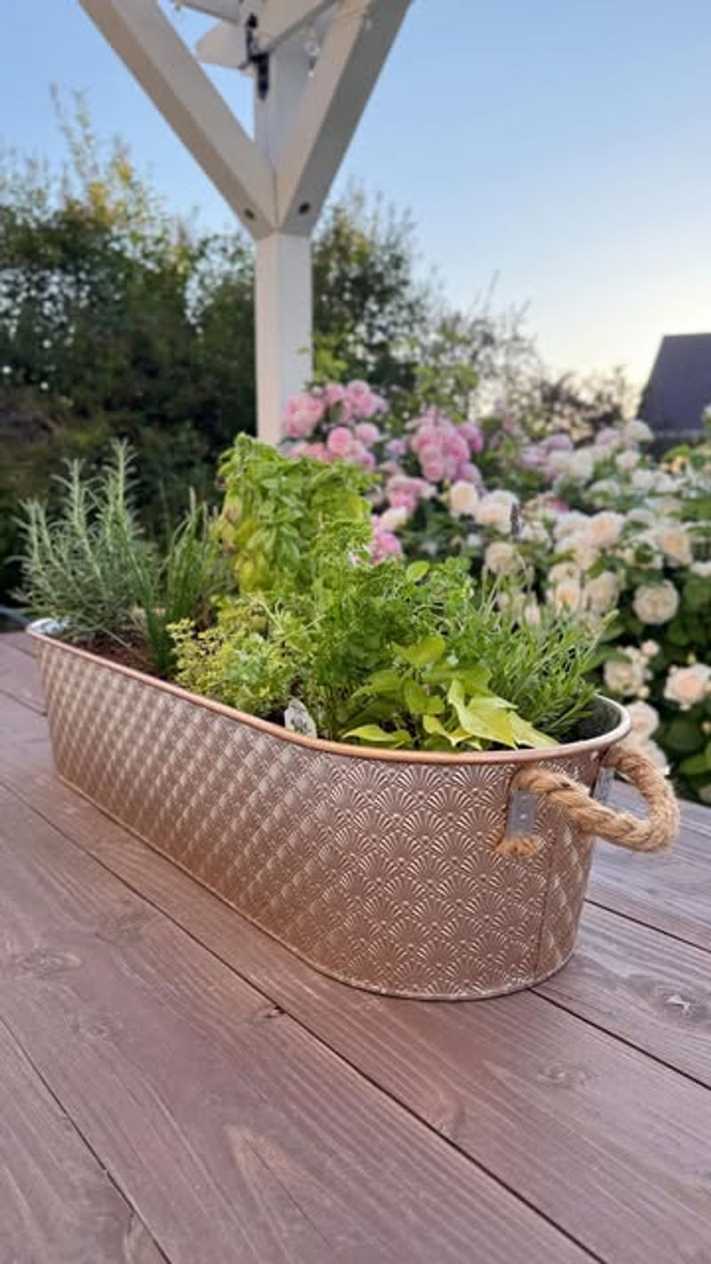 Container Herb Garden