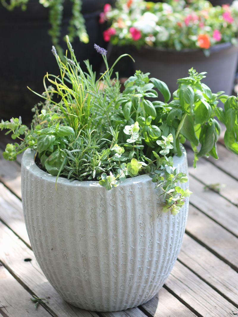 Group Plants With Similar Needs