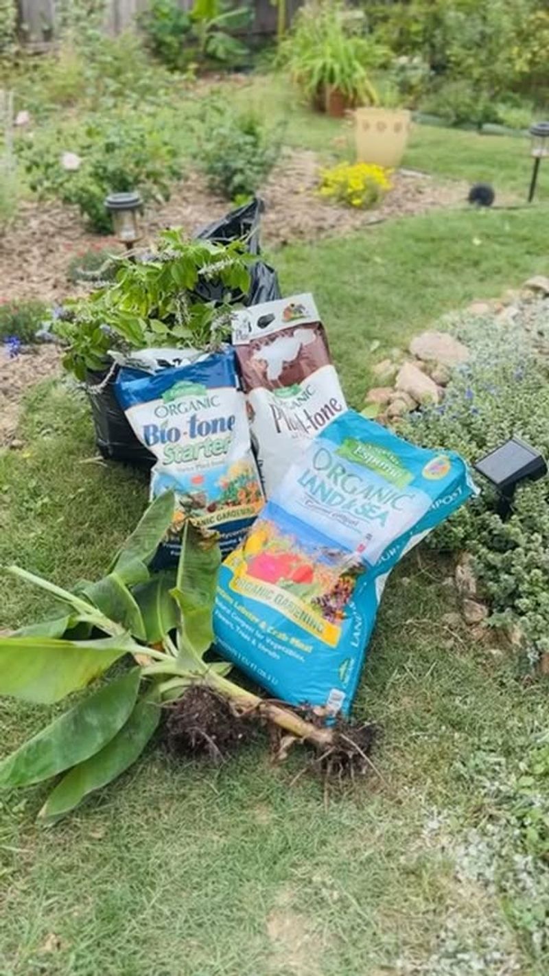Consider Organic Alternatives