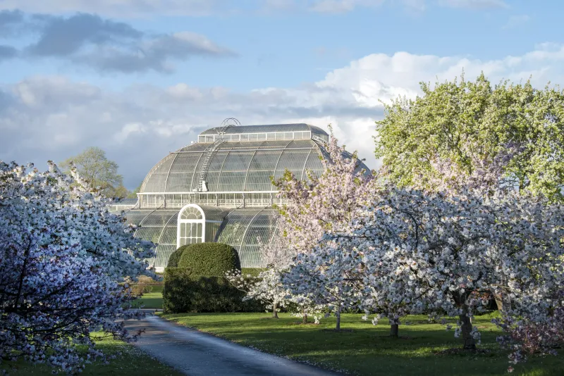 Climate-Controlled Biomes Predict Earth's Future