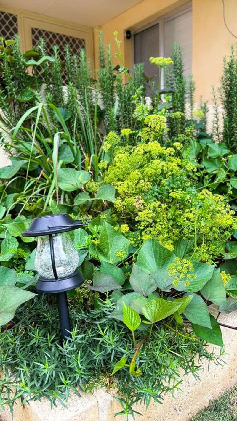 Space-Efficient Gardening