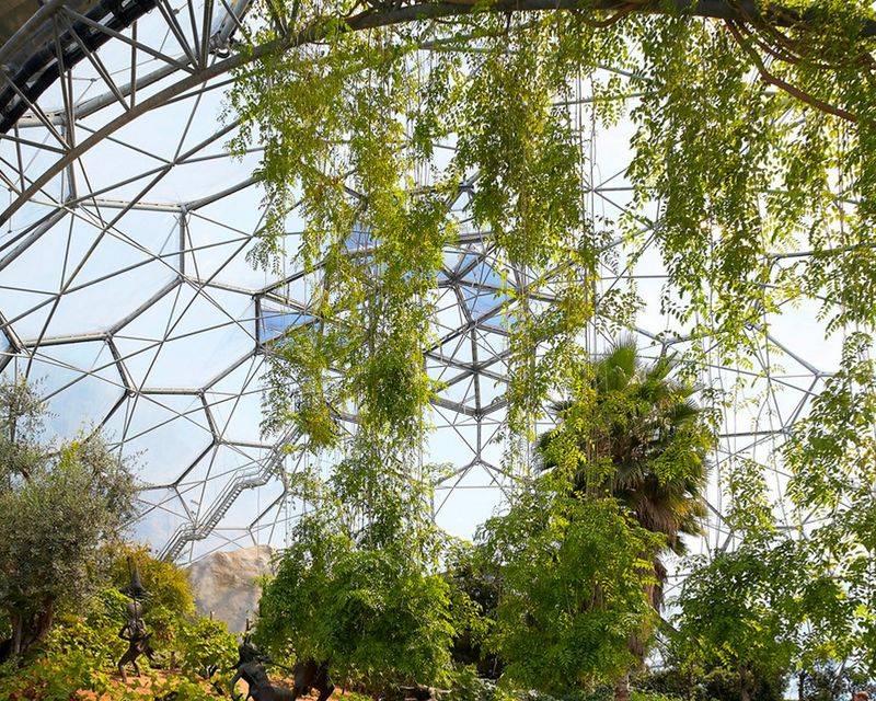 Educational Mission Beyond Beautiful Plants
