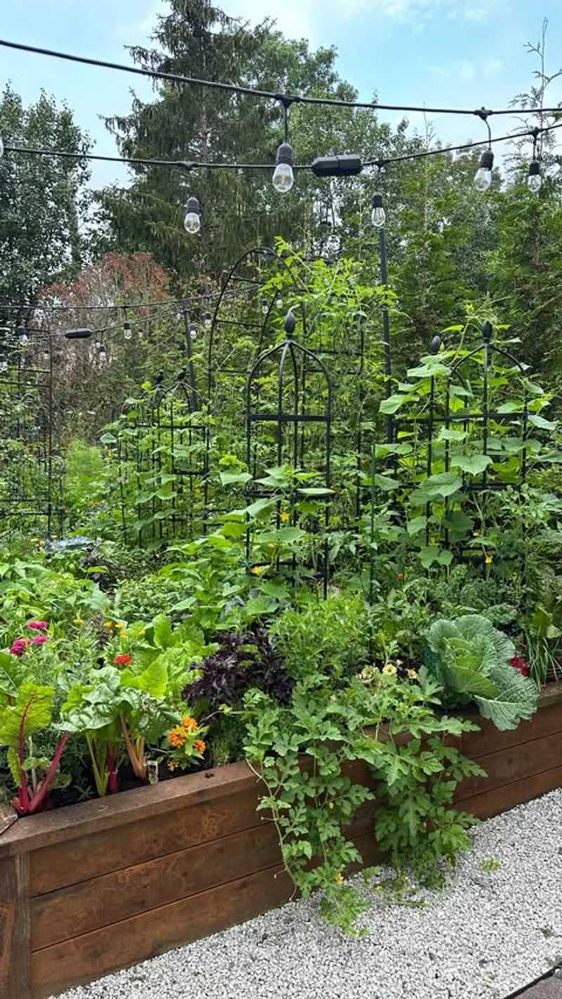 Companion Planting with Herbs