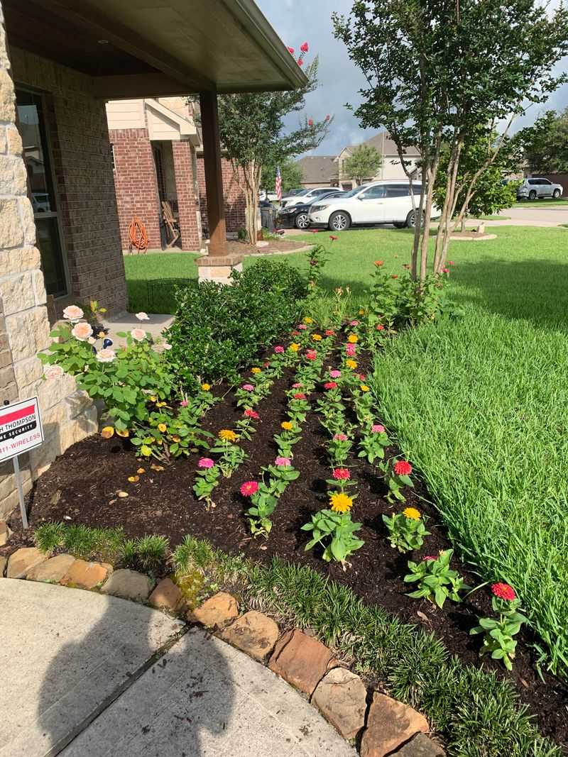 Ignoring Mulch Needs