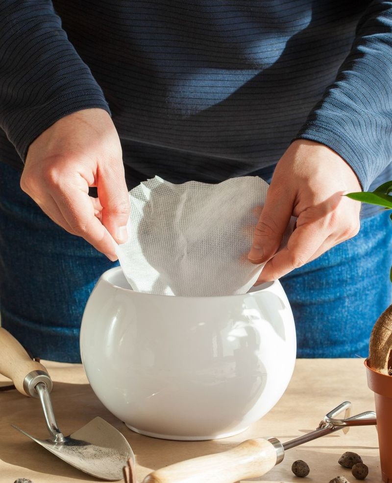 Coffee Filters for Moisture Retention