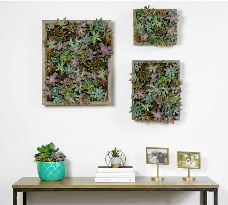 Vertical Garden Backing Board