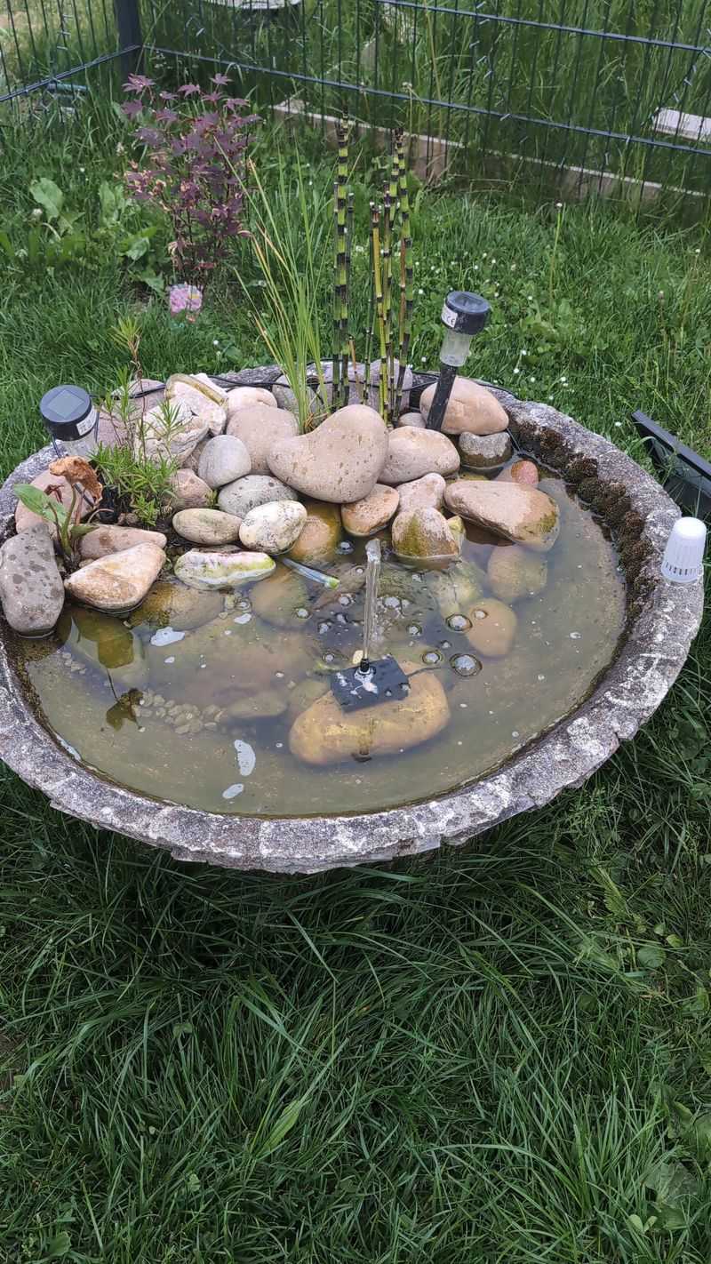 Bird Feeder Float