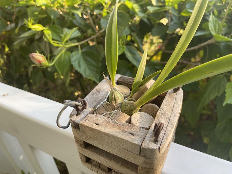 Water-Saving Pot Fillers