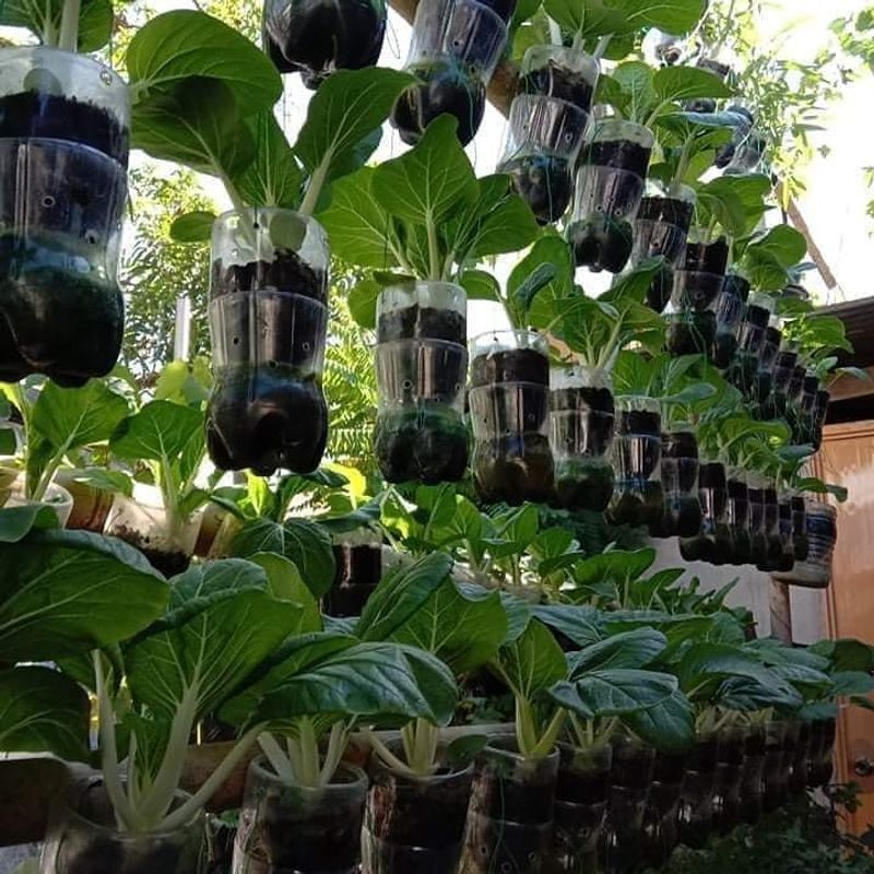 Vertical Bottle Tower Garden