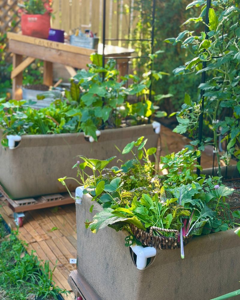 Smart Container Gardening
