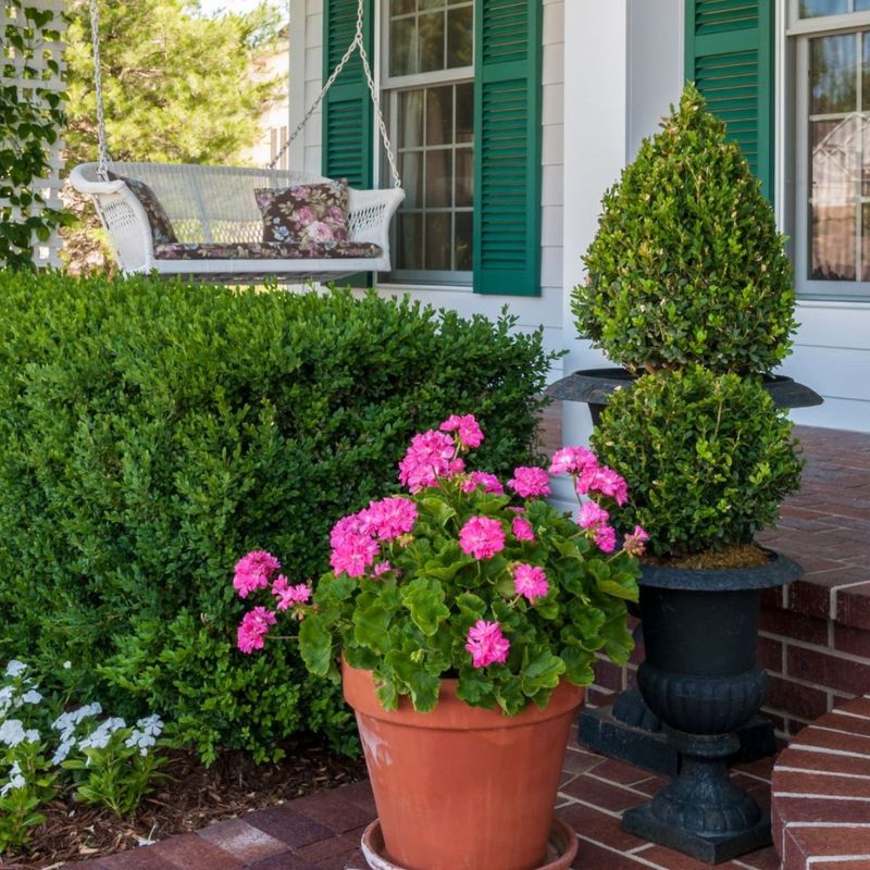Scattered Plastic Pots Killing Your Curb Appeal