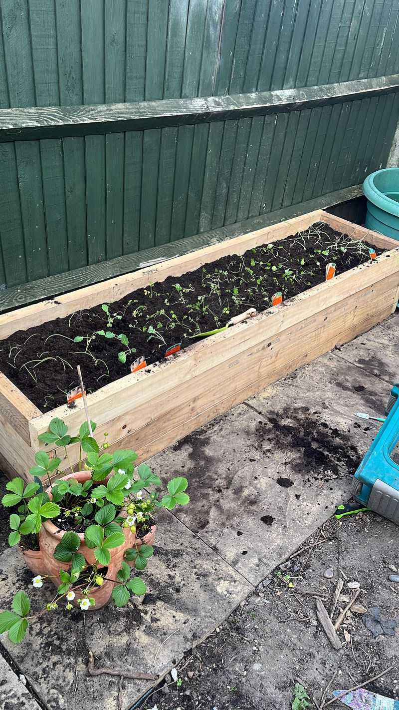Soil Level Too Low