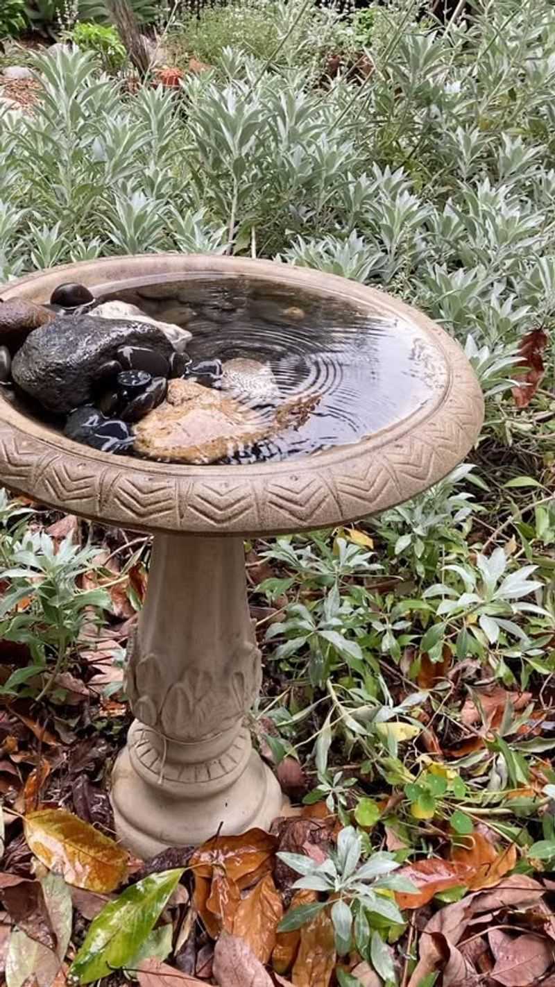 Bath Too High Off The Ground