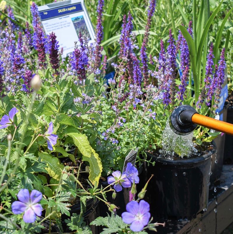 Monitor Plant Stress Signs