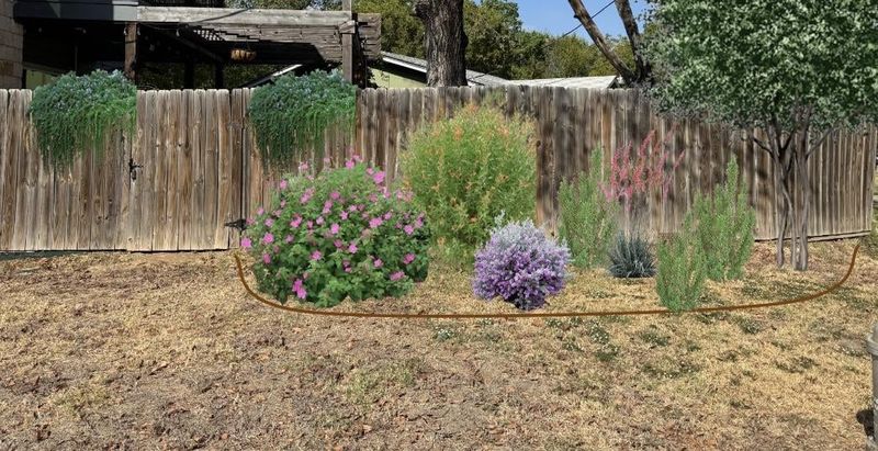Living Wall Of Texas Natives