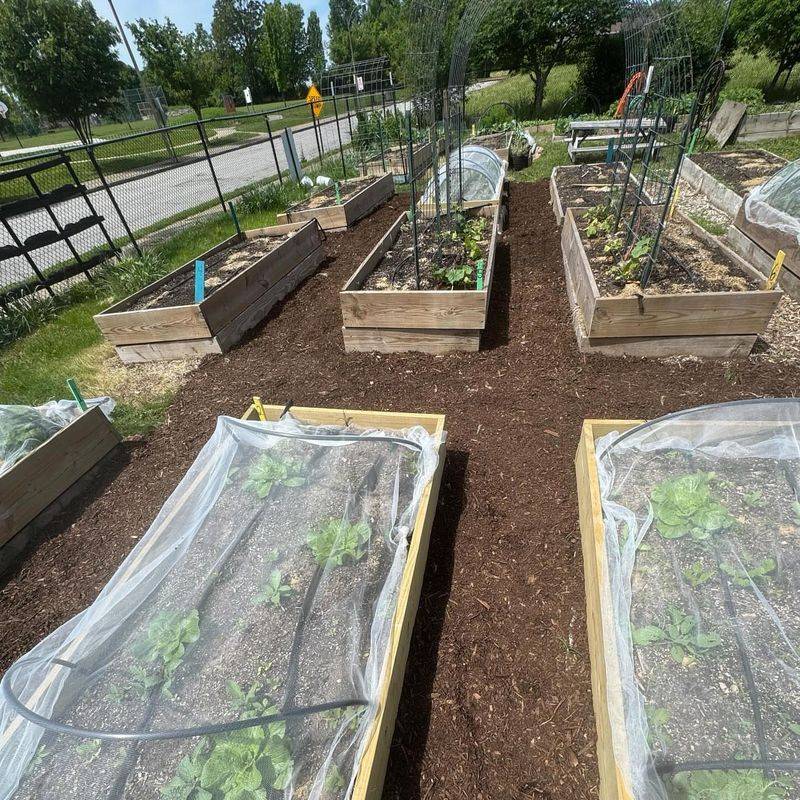 Temperature Regulation for Delicate Seedlings