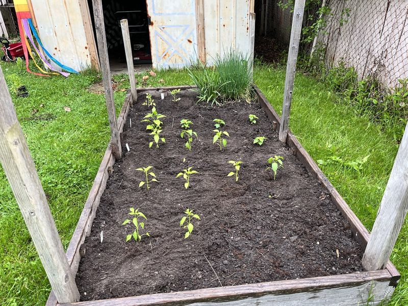 Compost Activator