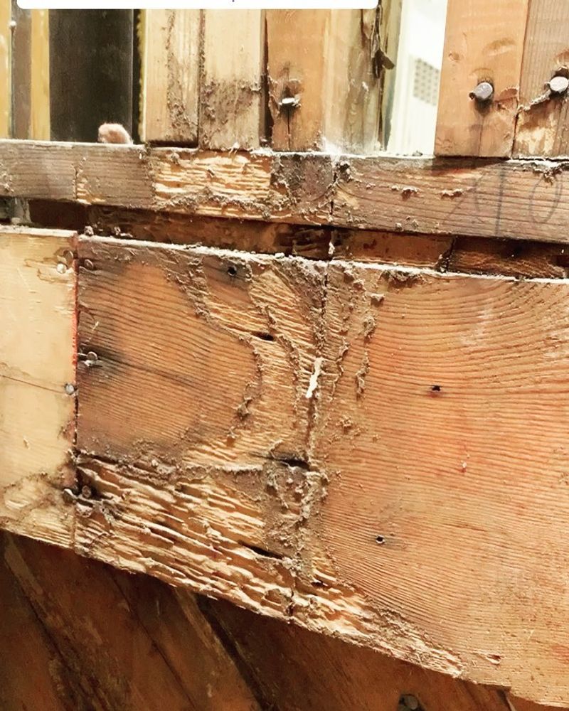 Termite Prevention Around Wood Structures