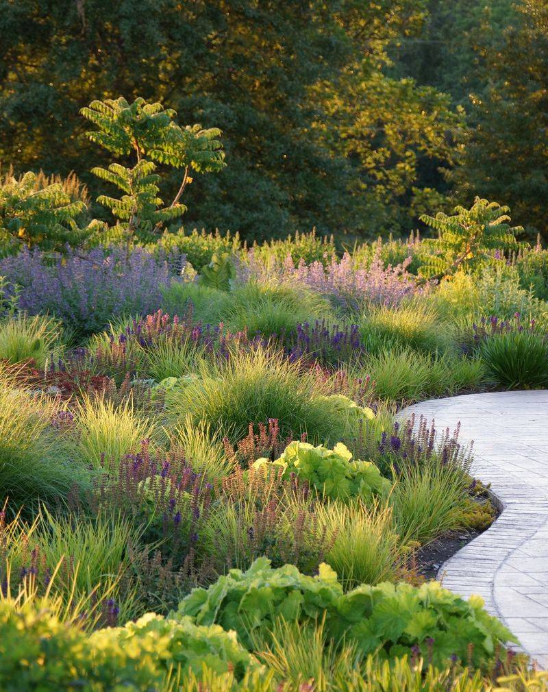 Value-Adder: Professional Landscape Design Plan