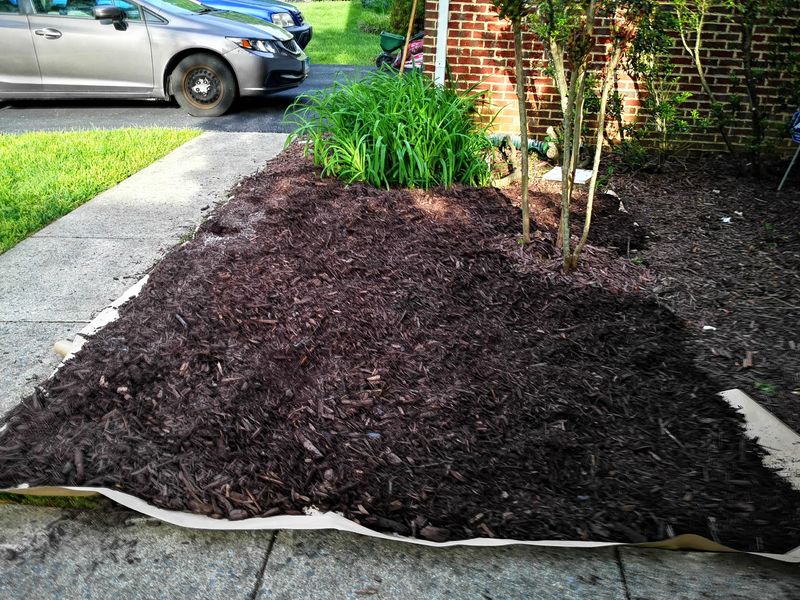 Consider Mulch Alternatives