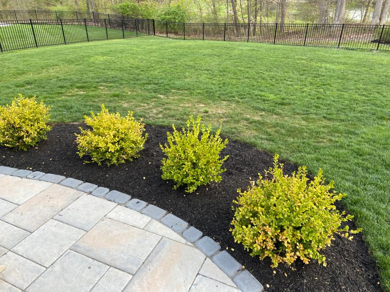 Feed After Pruning