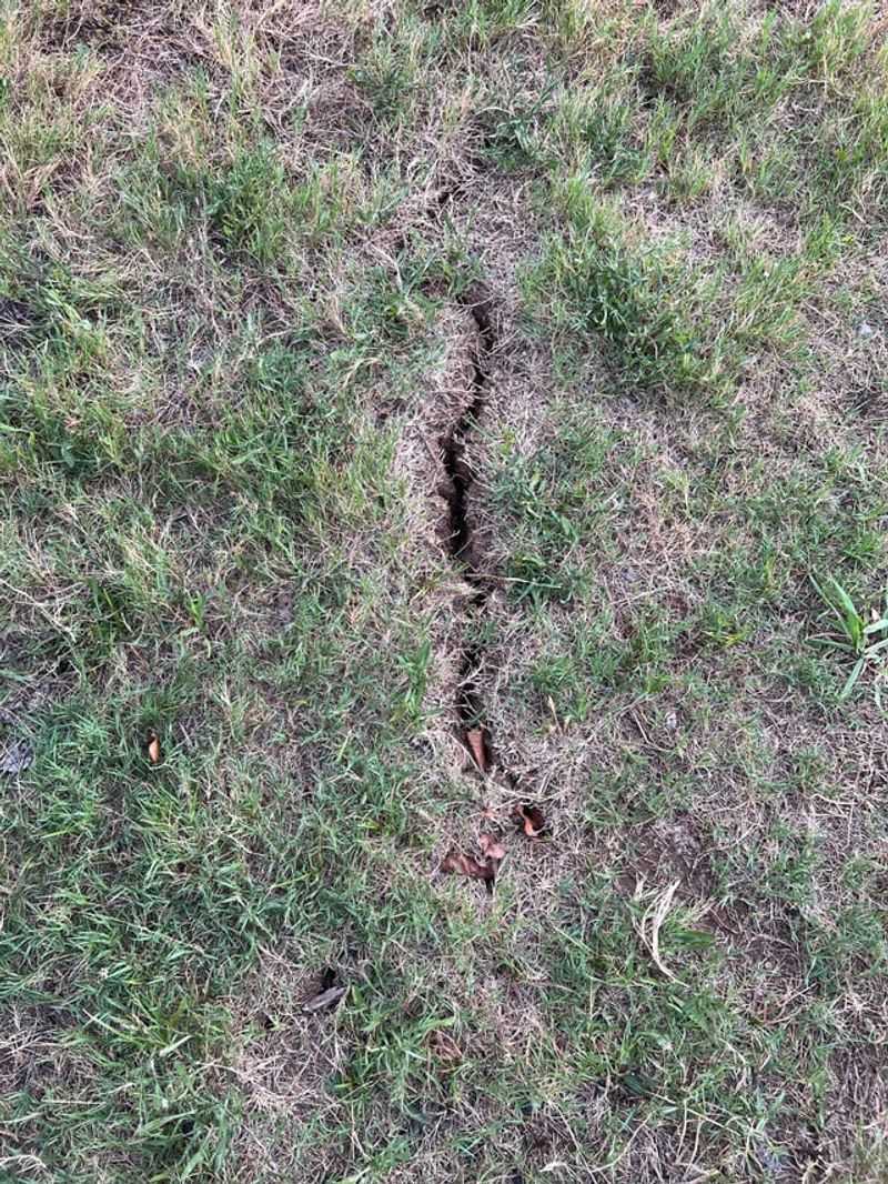 Hardened, Cracking Soil Surface