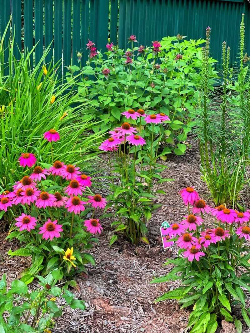 Strategic Mulching