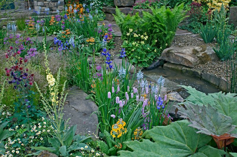 Rain Garden With Native Plants