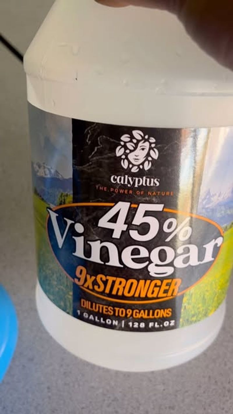 Vinegar