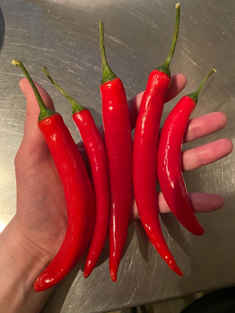 Cayenne Pepper Burn