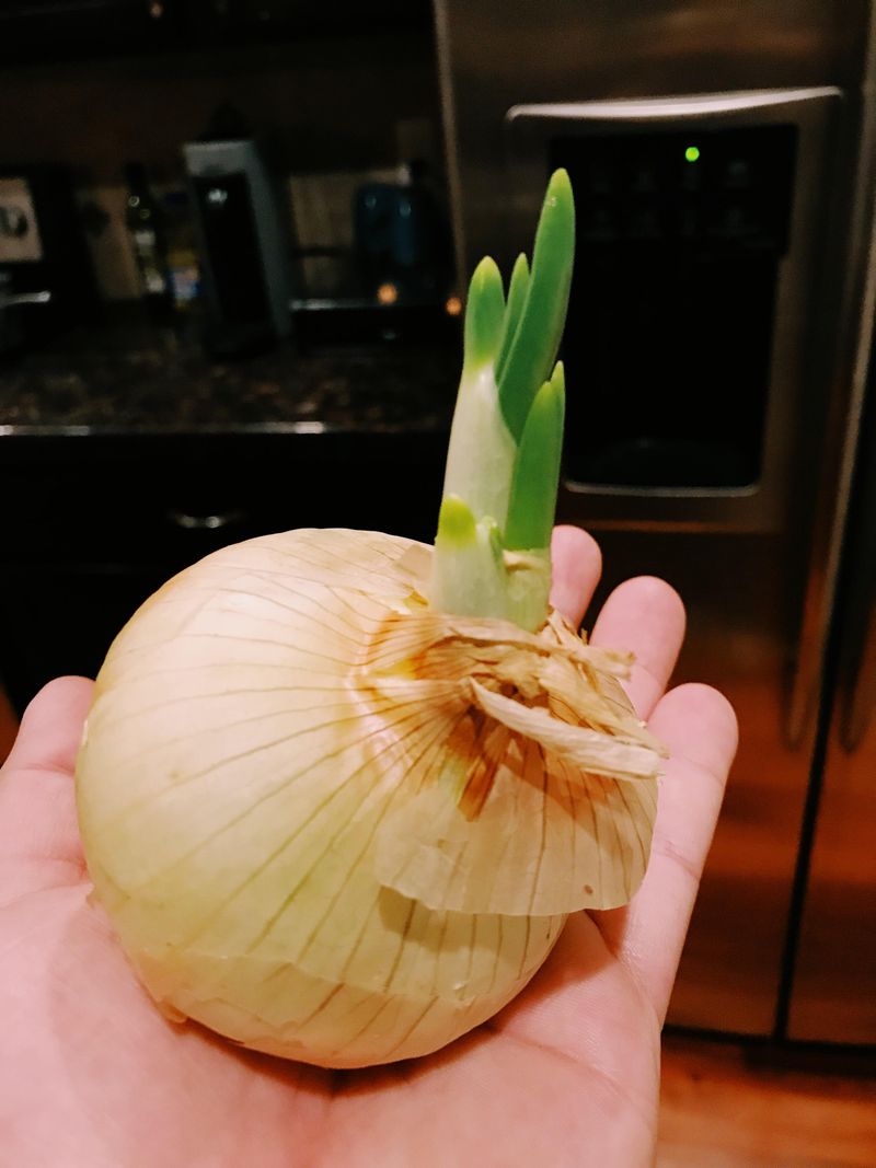 Onion's Overwhelming Aroma
