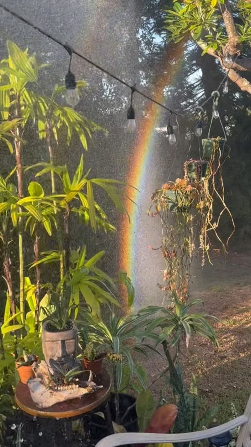 Morning Watering Schedule