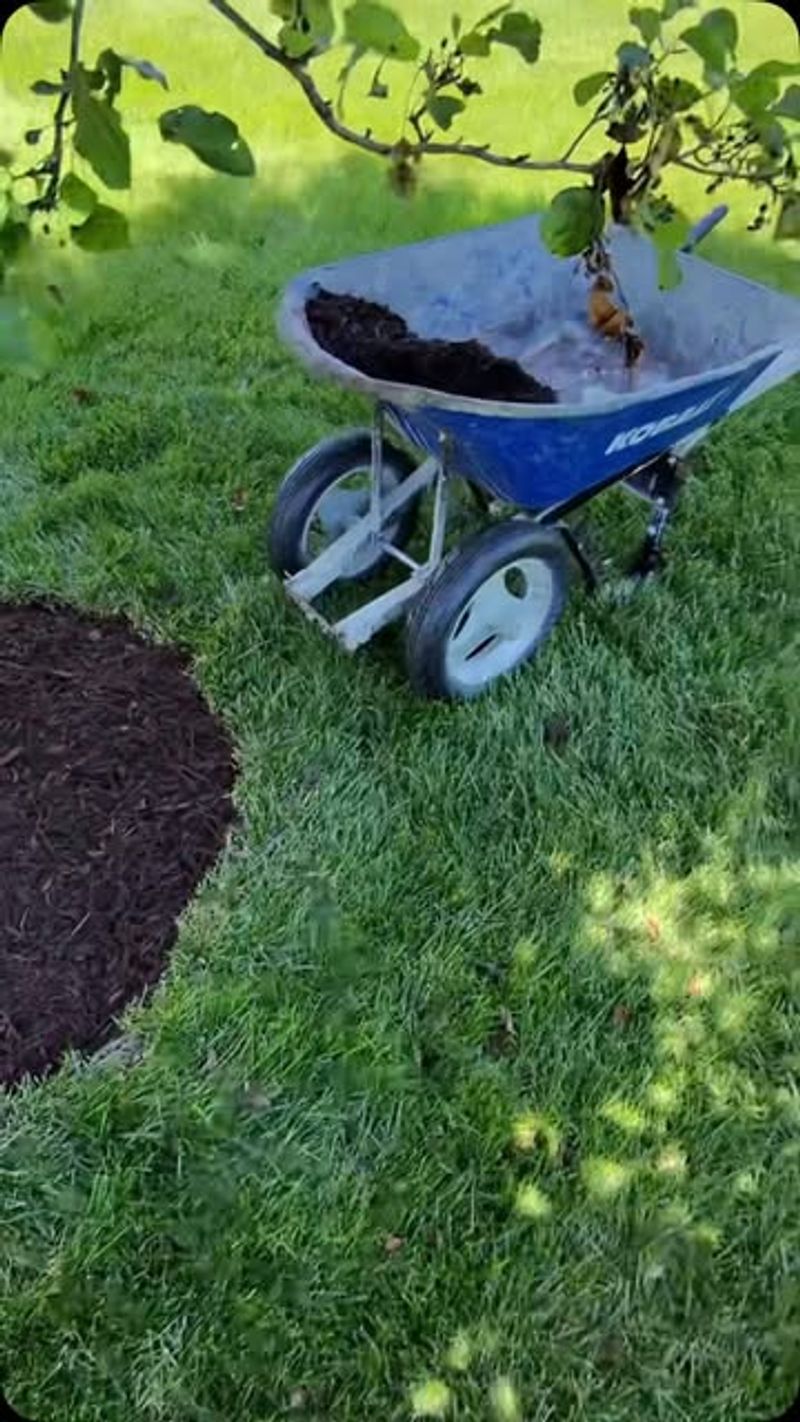 Apply Mulch to Bare Spots
