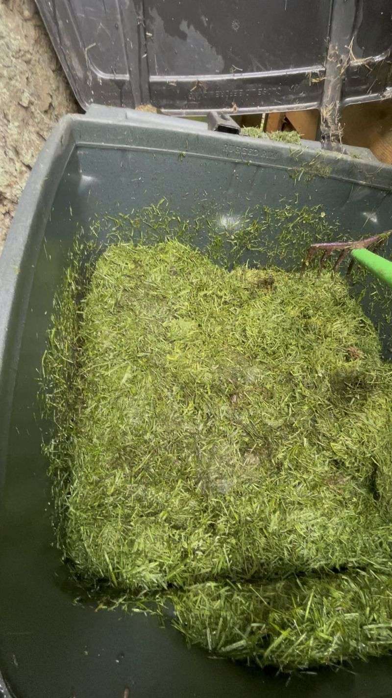 Disposing Clippings Improperly