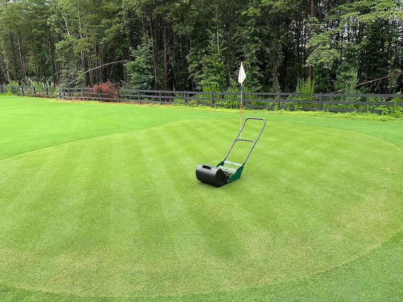 Removing Too Much Leaf Blade