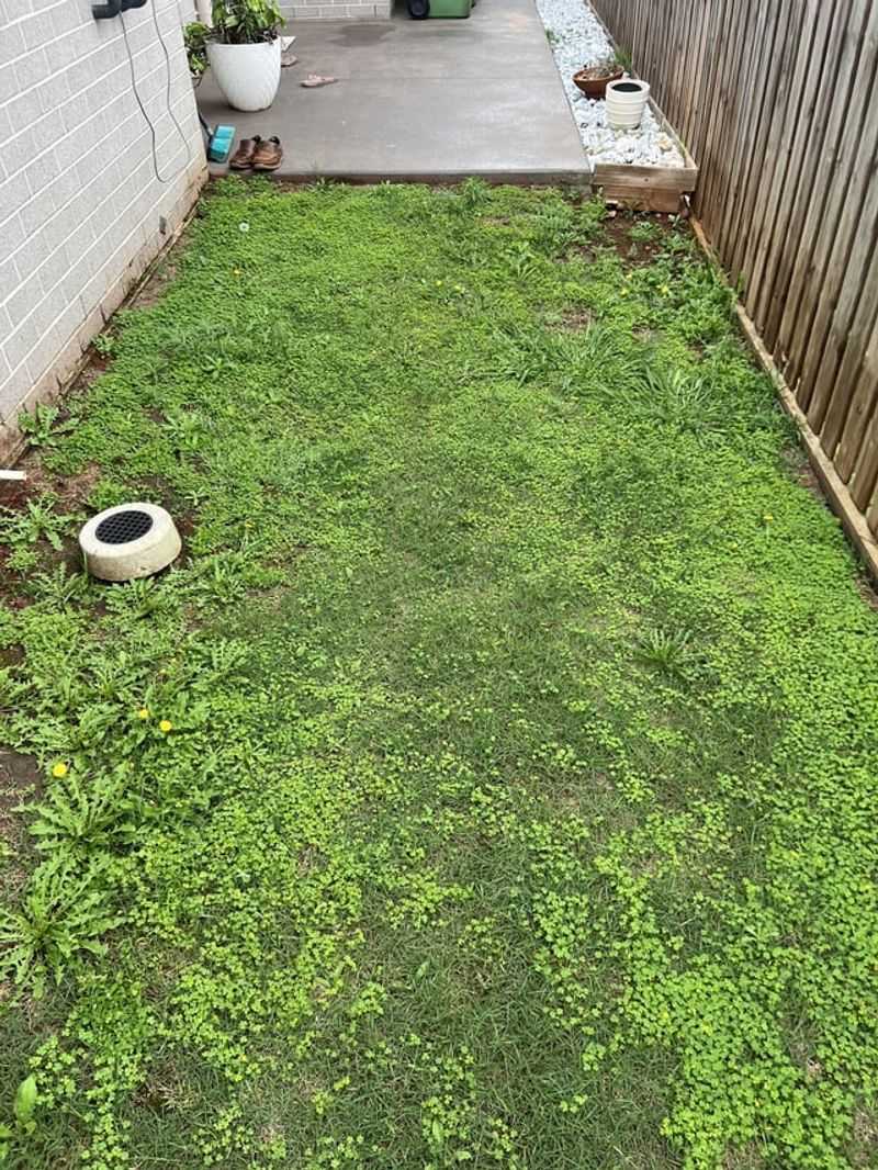 Targeted Herbicides