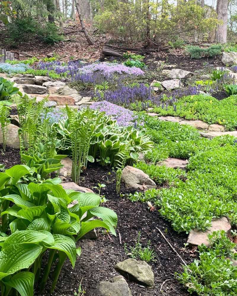 Shade-Loving Ground Covers
