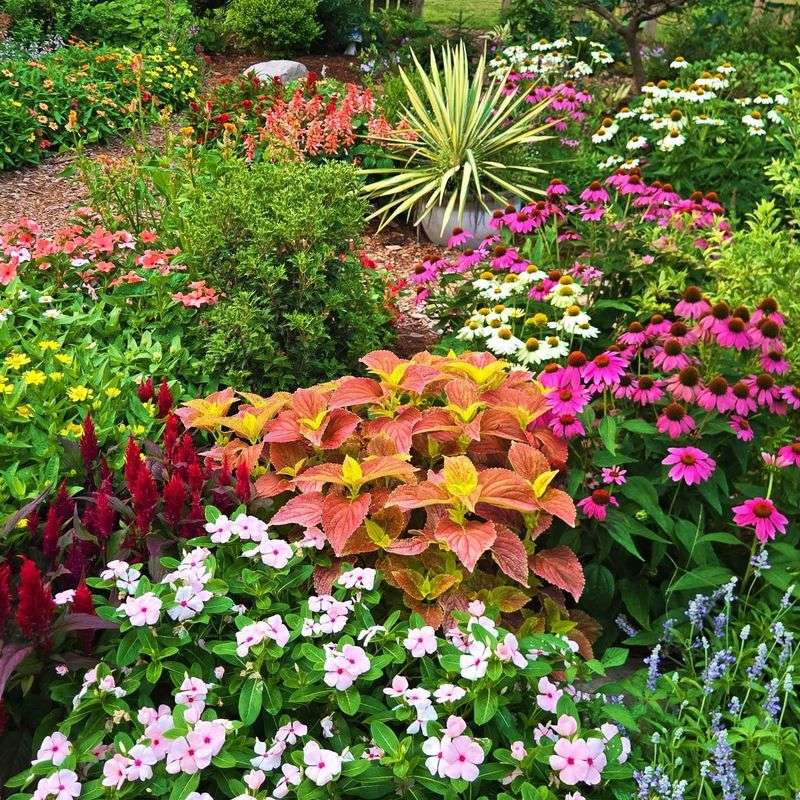 Different Plants, Different Water Needs