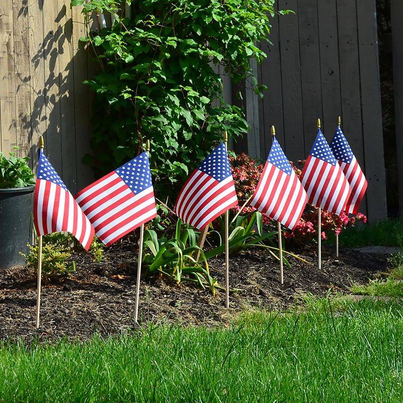 Festive Flag Display