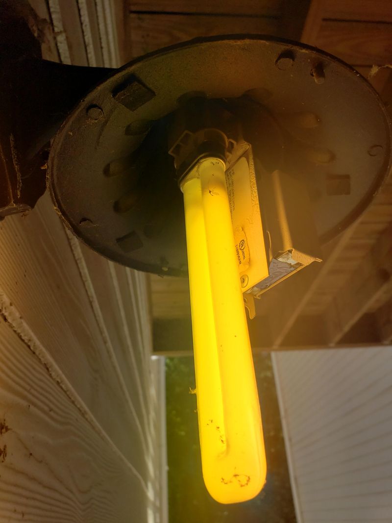 Switch to Yellow Bug Lights