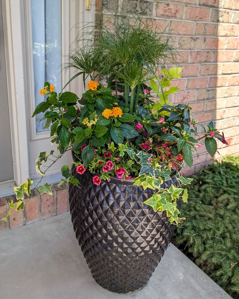 Four-Season Container Garden