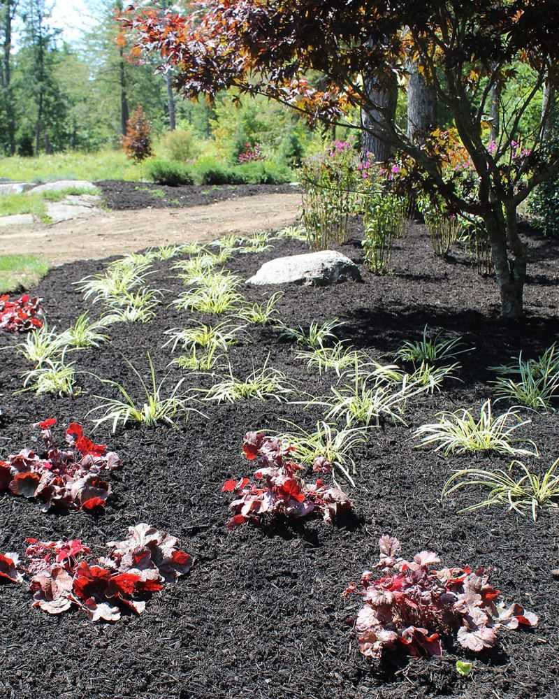 Spreading Mulch Too Thin