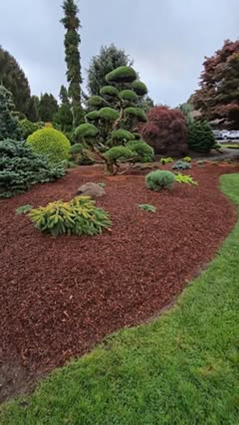 Cypress Mulch Islands