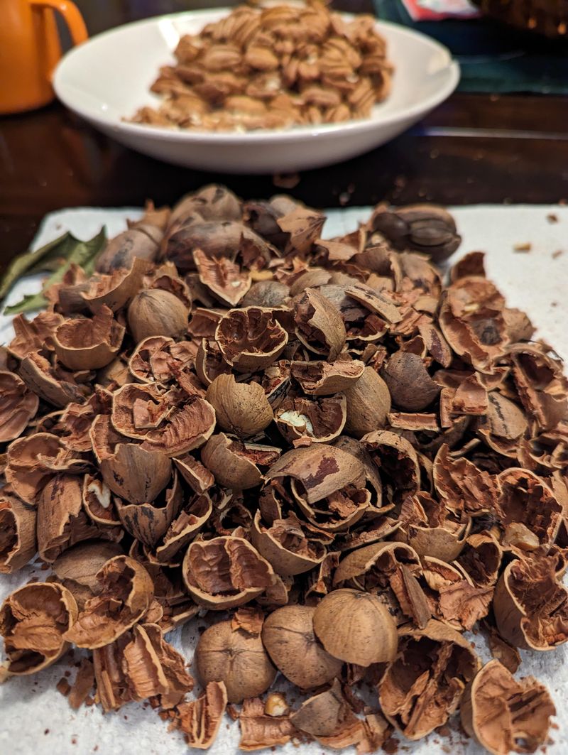 Pecan Shells