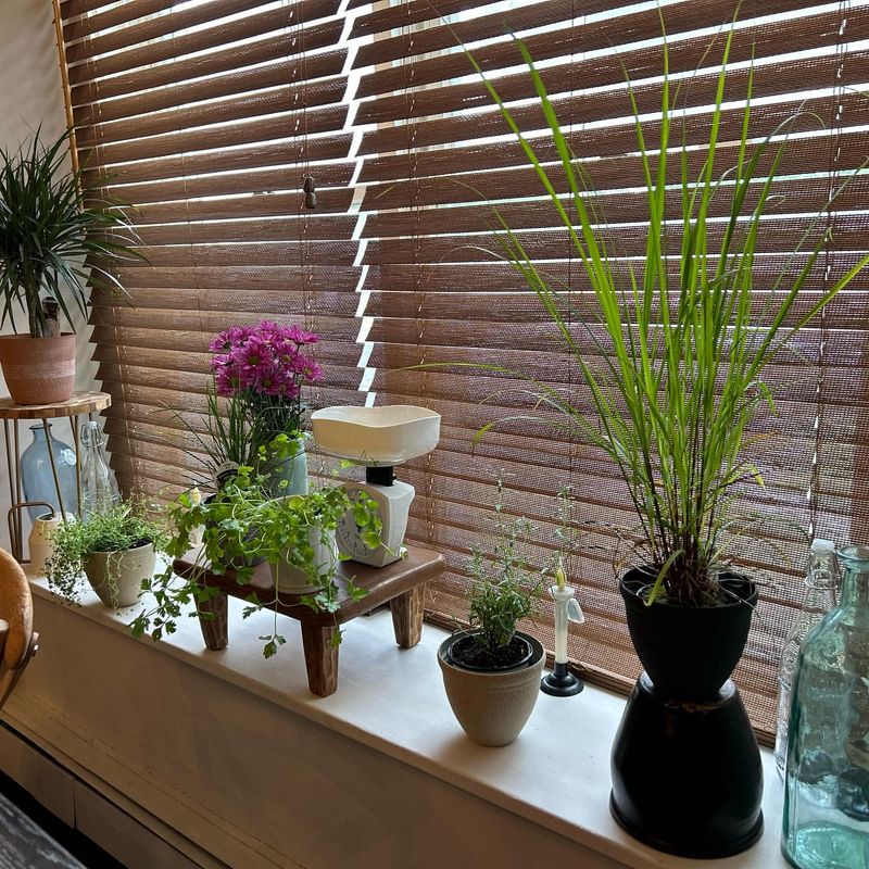 Stress-Relieving Aromatherapy
